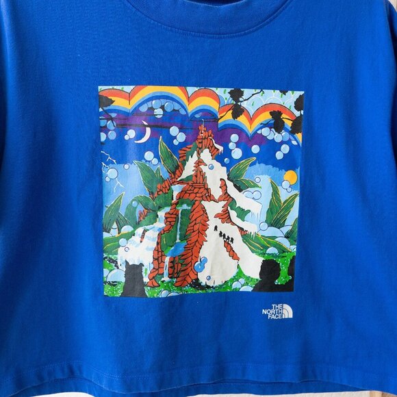 The North Face Women Sz L Blue Graphic Colorblock Boxy Tee Cropped - Picture 4 of 8